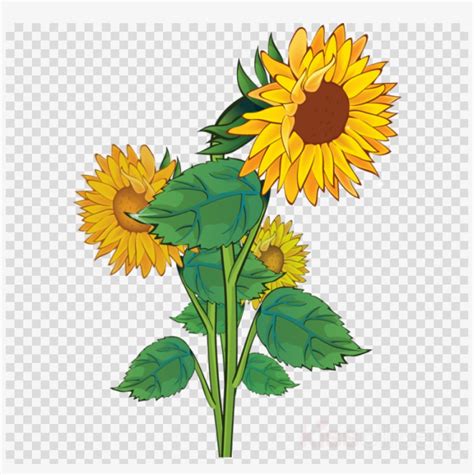 Sunflower Png Clipart Clip Art Yellow Flower Clip Art