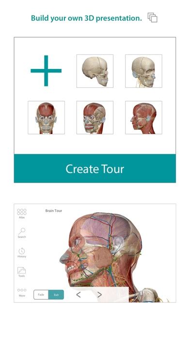 Human Anatomy Atlas 3d Anatomical Model Of The Human Body Iphone App