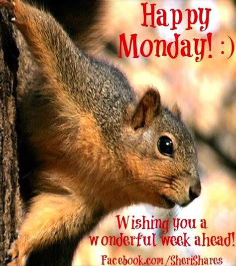 We did not find results for: Happy Monday Quotes. QuotesGram