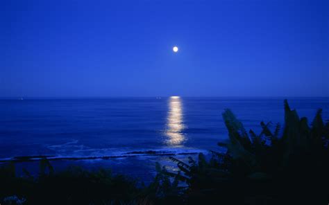 Download Night sea moon ocean reflection wallpaper 1920x1200 135940