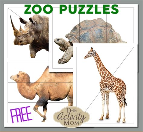 20 Educational Zoo Activities For Preschoolers Teaching Expertise