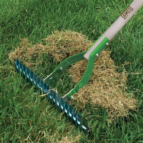 5 Essential Lawn Care Tools Grass Maintenance Care
