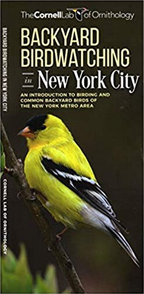 Backyard Birdwatching In New York City All About Birds Pocket Guide