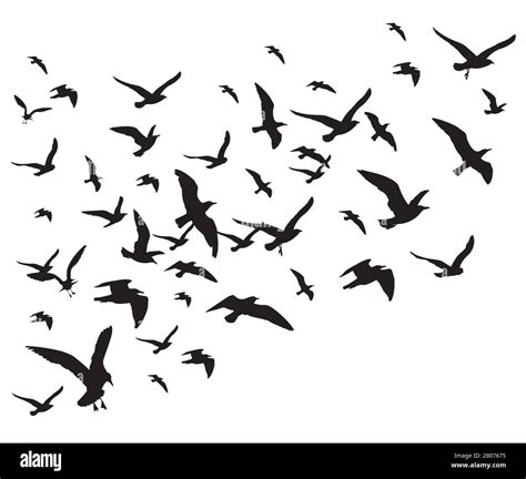 Flying Birds Flock Vector Illustration Isolated On White Background