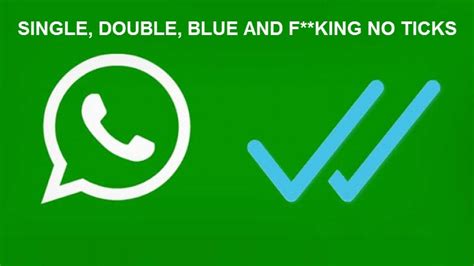 Two Blue Ticks On Whatsapp