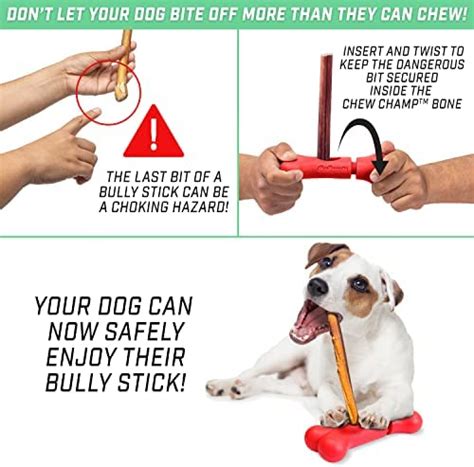 Are Sticks Dangerous For Dogs