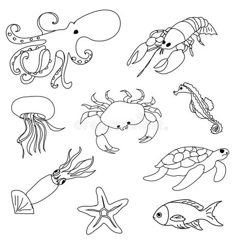 Sea Animals Coloring Page Stock Illustration Illustration