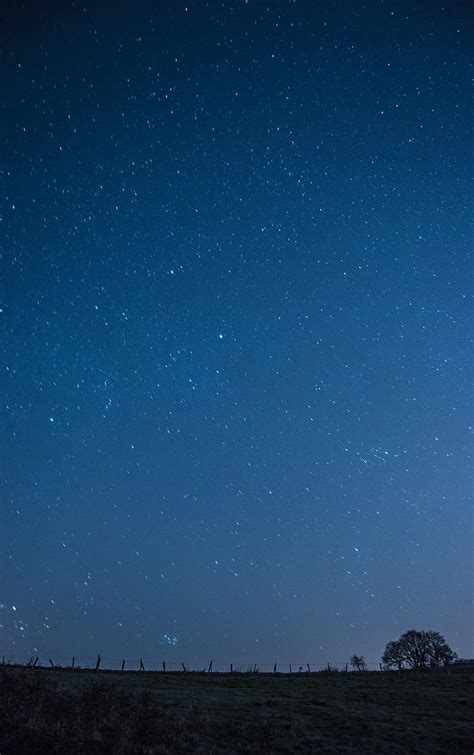 Meadow Starry Sky Night Stars Dark Hd Phone Wallpaper Peakpx