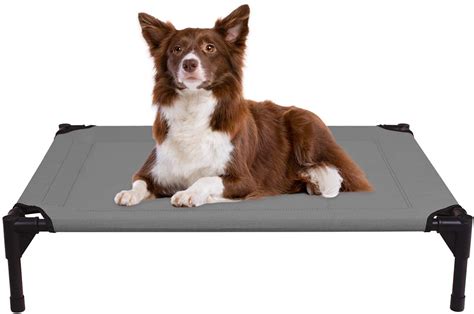 The 5 Best Elevated Dog Beds For Large Breeds Dogvills