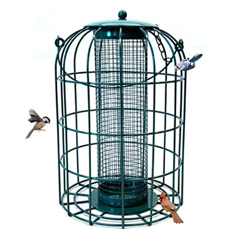 Secure Your Garden With The Best Squirrel Proof Wire Mesh