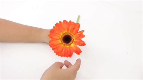 Maybe you would like to learn more about one of these? How to Make a Hand Tied Wedding Bouquet: 13 Steps (with ...
