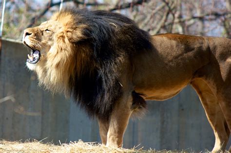 Smithsonian National Zoological Park