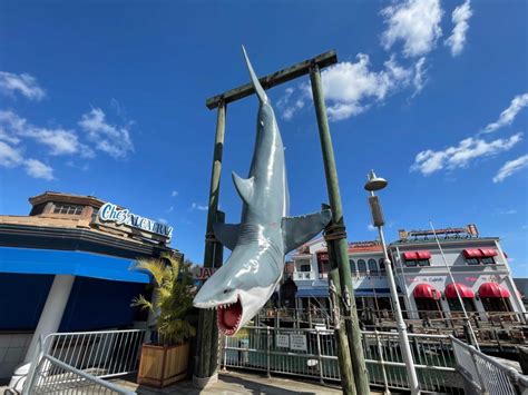 Photos Bruce The Shark “jaws” Photo Op Returns To Universal Studios