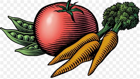 Clip Art Farmers Market Vegetable Agriculturist Openclipart Png