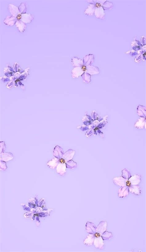 Iphone Aesthetic Purple Lavender Lilac Iphone Aesthetic Poster Tasarımları Arkaplan