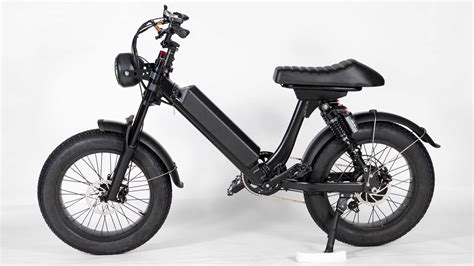 2 Wheel Electric Bike 250w Adults Electric Mountain Bike For Adults