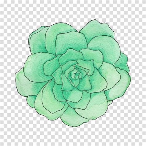 Green Aesthetic Green Rose Illustration Transparent