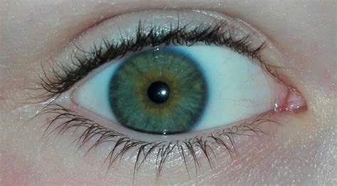 Three Colored Eye Blue On The Bottom Green On Top And Orange In The