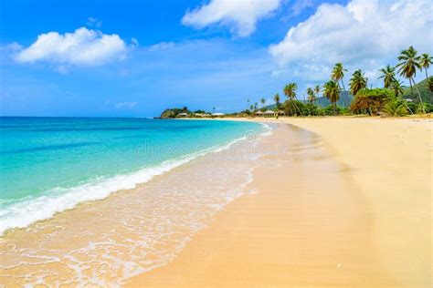 Paradise Beach At Morris Bay Tropical Caribbean Island Antigua Stock