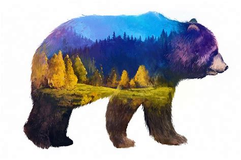Double Exposure Set Bear Grizzly Animal Illustrations ~ Creative Market