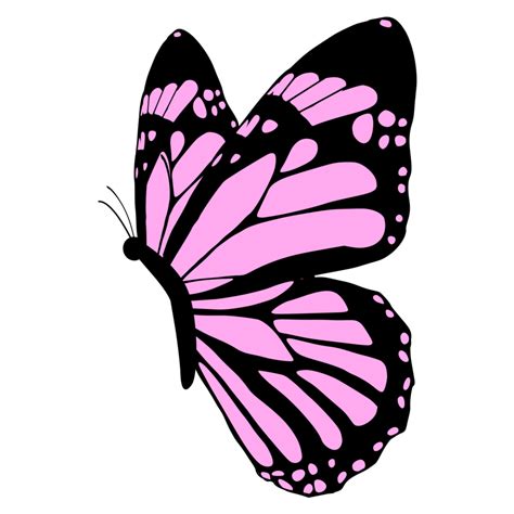 pink butterfly design 24134739 png
