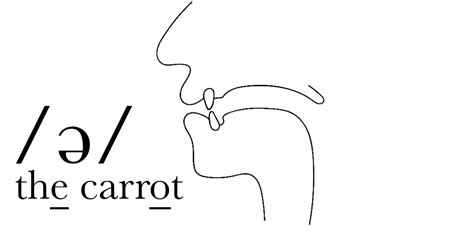 And therefore, it is so important to pronounce it correctly. Schwa Sound /ə/ | The Sound of English