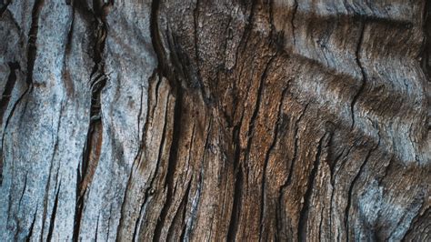 Download Wallpaper 1920x1080 Wood Texture Cranny Surface Full Hd Hdtv Fhd 1080p Hd Background