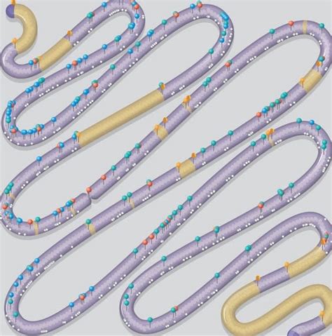 First Synthetic Yeast Chromosome Paves Way For Designer Genomes