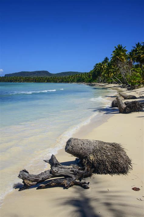the 12 best beaches in the dominican republic lonely planet