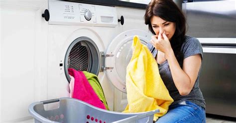 Héritage Grincheux Disparu comment enlever les mauvaises odeurs dans une machine à laver mon