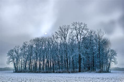 Foggy Winter Landscape Free Photo Download Freeimages
