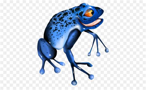 Cartoon Poison Dart Frog Drawing Drawing Easy