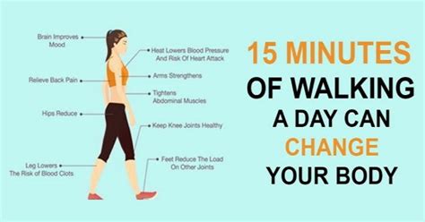 Intermediate back muscles and c. Here's a list of ten reasons why walking is our best partner for overall good heal… | Health ...