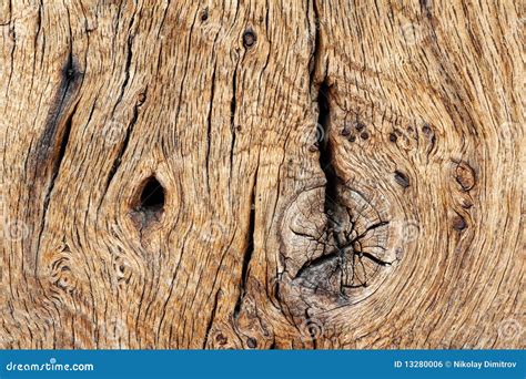 Wood Texture Of Old Oak Timber Stock Photography Cartoondealer Com