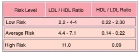Cholesterol Hdl Ldl Ratio Graphic Chart The Good Bad And Ugly About