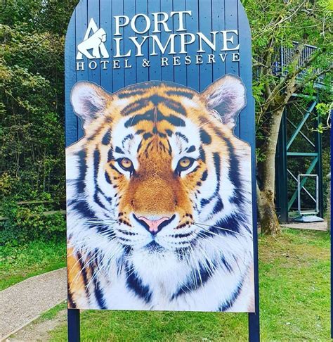 Port Lympne Reserve Near Hythe Reports Five Animal Escapes In Five Months