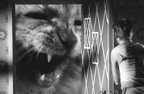 The Incredible Shrinking Man 1957 Cinema Cats The Incredibles
