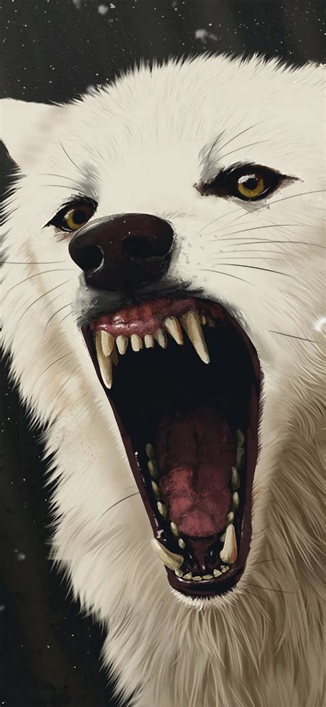 Scarred White Wolf