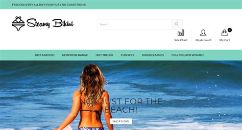 — starter site listed on flippa brand new theme ecommerce dropshipping site