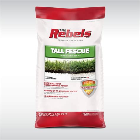The Rebels Tall Fescue Grass Seed For Sun To Medium Shade 20 Lb