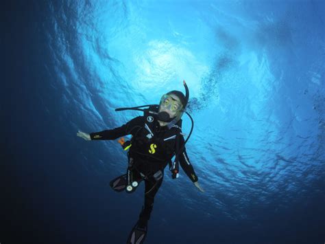 Home Red Sea Dive Center Hotel And Dive Center