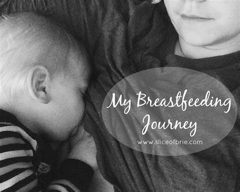 A Slice Of Brie My Breastfeeding Journey