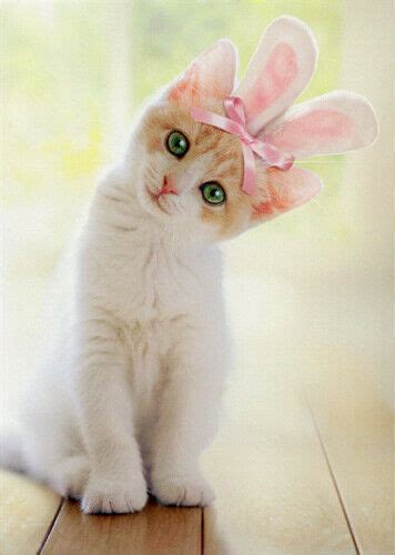 Kitten With Bunny Ears Cat Easter Card Greeting Card By