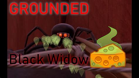 Grounded 102 Black Widow Cheese Youtube