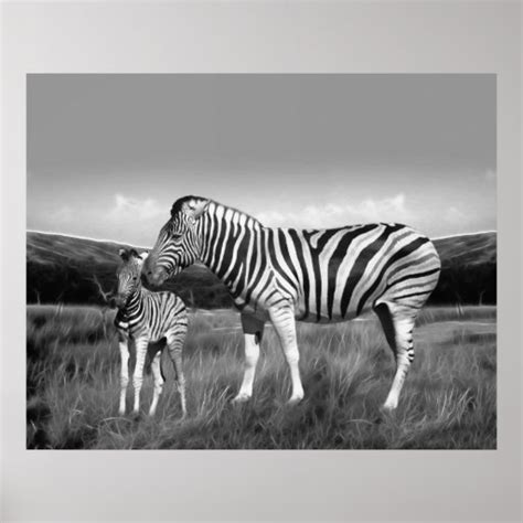 Baby Zebra And Mom Print Zazzle