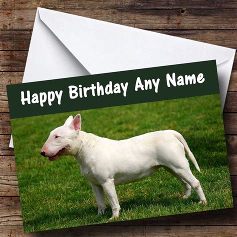 Bull Terrier Customised Birthday Card Party Animal Print
