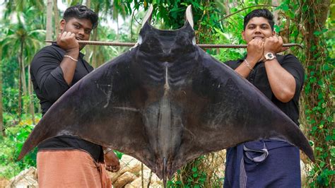 60 Kg Giant Manta Ray Fish Massive Therandi Fish Cooking Skill