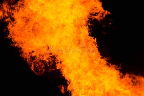 Fire Flames On A Black Background Stock Photo Image Of Texture