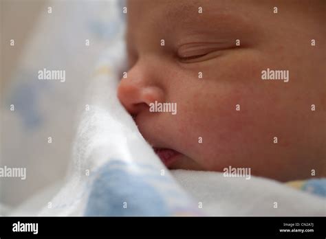 Newborn Baby Boys Face Close Up Stock Photo Alamy
