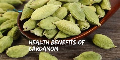 All You Need To Know About Amazing Health Benefits Of Cardamom